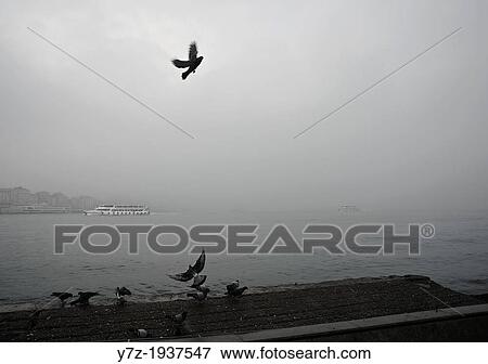 Foggy Eminou, Istanbul, Turkey. View Large Photo Image Stock Photo - Foggy Eminou, Istanbul, Turkey.. Fotosearch