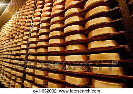Fontina cheese curing. Val d? Aosta, Italy View Large Photo Image Stock Image - Fontina cheese curing. Val d? Aosta, Italy. Fotosearch