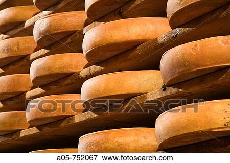 Fontina cheeses (traditional cow's milk Italian cheese made in Aosta Valley). Aosta Valley, Italy View Large Photo Image Stock Photo - Fontina cheeses (traditional cow's milk Italian cheese made in Aosta Valley). Aosta Valley, Italy. Fotosearch