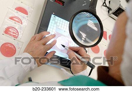 Food industry. Microbiologist analyzing a colony of bacteria. Navarre. Spain View Large Photo Image Stock Image - Food industry. Microbiologist analyzing a colony of bacteria. Navarre. Spain. Fotosearch