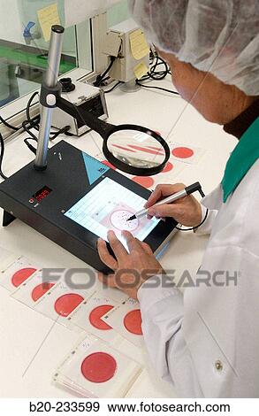 Food industry. Microbiologist analyzing a colony of bacteria. Navarre. Spain View Large Photo Image Stock Photo - Food industry. Microbiologist analyzing a colony of bacteria. Navarre. Spain. Fotosearch