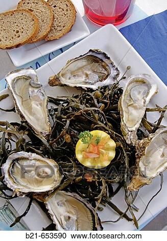 Food: Oysters from the Bassin d? Arcachon. Gironde. France. View Large Photo Image Stock Image - Food: Oysters from the Bassin d? Arcachon. Gironde. France.. Fotosearch
