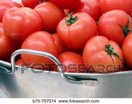 Food View Large Photo Image Picture - Food. Fotosearch