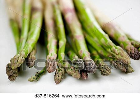 Picture - Food. Fotosearch