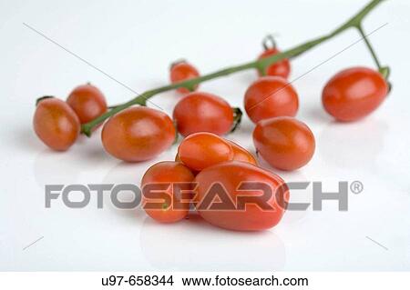 Picture - Food. Fotosearch
