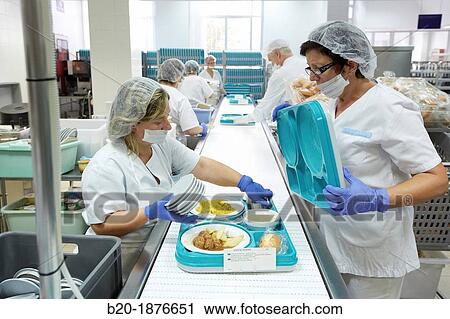 Food serving line, Hospital meal preparation, Kitchen, Hospital Donostia, San Sebastian, Gipuzkoa, Basque Country, Spain View Large Photo Image Stock Image - Food serving line, Hospital meal preparation, Kitchen, Hospital Donostia, San Sebastian, Gipuzkoa, Basque Country, Spain. Fotosearch