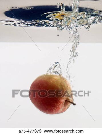 Food View Large Photo Image Stock Image - Food. Fotosearch