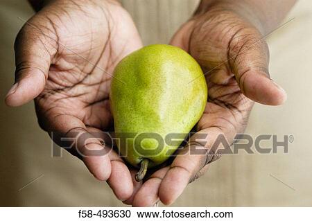 Food View Large Photo Image Stock Image - Food. Fotosearch