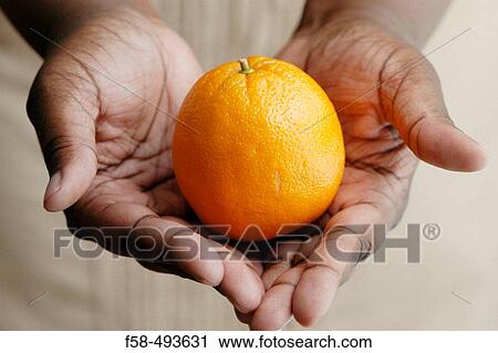Food View Large Photo Image Stock Image - Food. Fotosearch