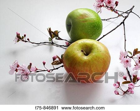 Food View Large Photo Image Stock Image - Food. Fotosearch