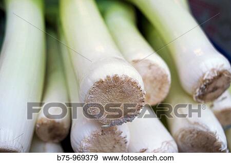 Food View Large Photo Image Stock Photo - Food. Fotosearch