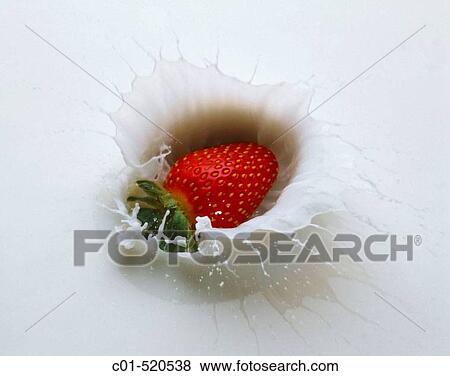 Food View Large Photo Image Stock Photo - Food. Fotosearch