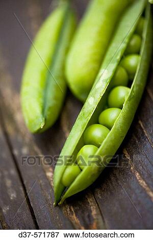 Food View Large Photo Image Stock Photo - Food. Fotosearch