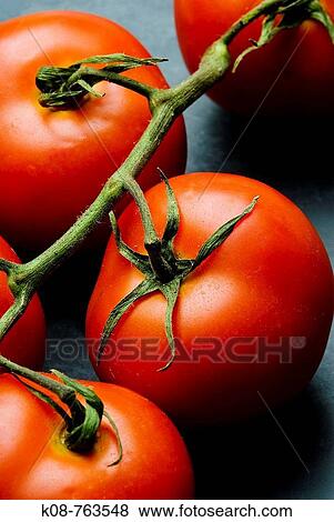 Food View Large Photo Image Stock Photo - Food. Fotosearch