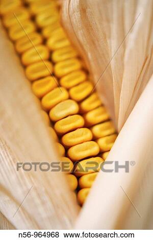 Food View Large Photo Image Stock Photo - Food. Fotosearch