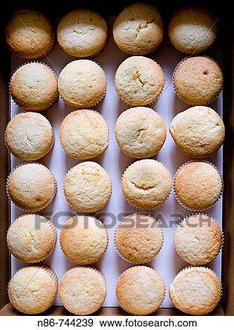 Food View Large Photo Image Stock Photo - Food. Fotosearch