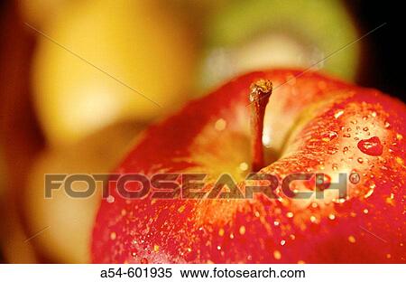 Stock Photography - Food. Fotosearch