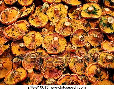 Stock Photography - Food. Fotosearch