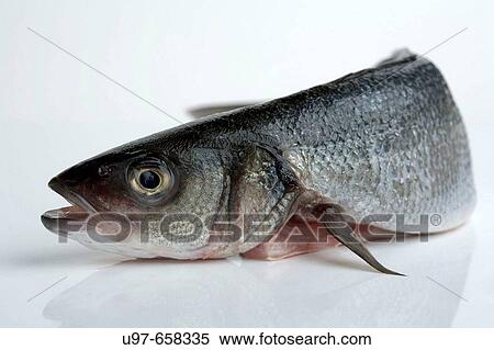 Stock Photography - Food. Fotosearch