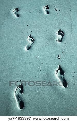 Foot Prints On Beach View Large Photo Image Stock Photo - Foot Prints On Beach. Fotosearch