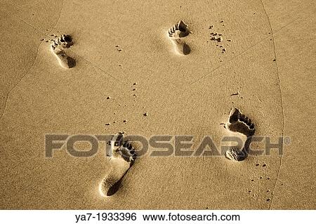 Foot Prints On Beach View Large Photo Image Stock Photograph - Foot Prints On Beach. Fotosearch