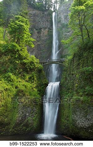 FOOTBRIDGE OVER MULTNOMAH WATERFALLS lLARCH MOUNTAIN COLUMBIA RIVER GORGE OREGON USA View Large Photo Image Stock Image - FOOTBRIDGE OVER MULTNOMAH WATERFALLS lLARCH MOUNTAIN COLUMBIA RIVER GORGE OREGON USA. Fotosearch