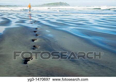 Footprints in sand on beach, west coast, New Zealand View Large Photo Image Stock Photo - Footprints in sand on beach, west coast, New Zealand. Fotosearch