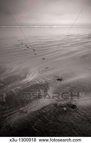 Footprints in the sand at low tide at Westward Ho!, Devon, England, United Kingdom View Large Photo Image Stock Photo - Footprints in the sand at low tide at Westward Ho!, Devon, England, United Kingdom. Fotosearch