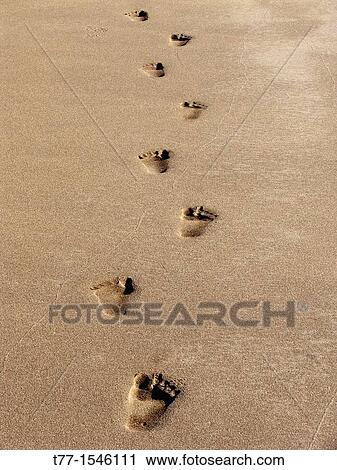 Footprints of a human being on sand at sea shore View Large Photo Image Stock Image - Footprints of a human being on sand at sea shore. Fotosearch