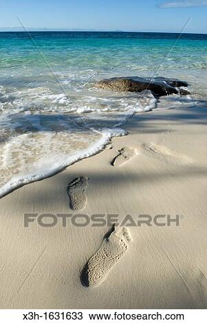 footprints on the beach, Tsarabanjina island, Mitsio archipelago, Republic of Madagascar, Indian Ocean View Large Photo Image Stock Image - footprints on the beach, Tsarabanjina island, Mitsio archipelago, Republic of Madagascar, Indian Ocean. Fotosearch