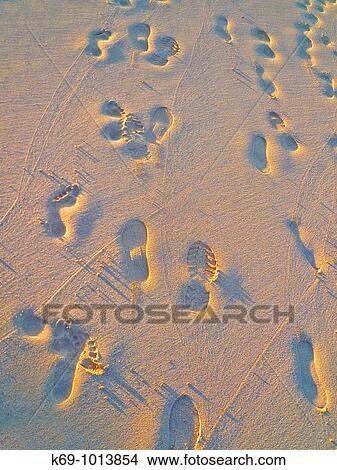 Footprints on the sand, Waikiki Beach, Hawaii, USA View Large Photo Image Picture - Footprints on the sand, Waikiki Beach, Hawaii, USA. Fotosearch