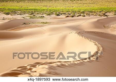 Stock Image - footprints on top of a dune. Fotosearch