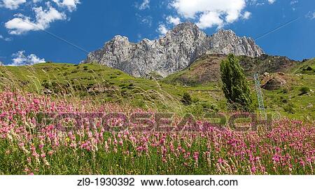 Foratata Peak, Sallent de Gallego, Huesca, Aragon, Spain View Large Photo Image Stock Image - Foratata Peak, Sallent de Gallego, Huesca, Aragon, Spain. Fotosearch