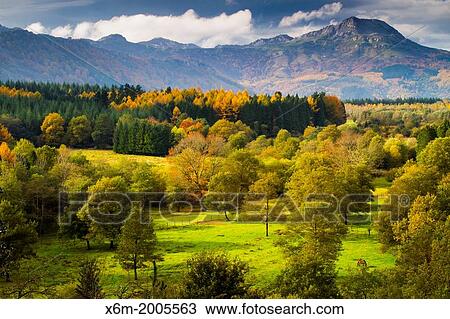 Stock Image - Forest and meadows landscape in autumn. Gorbeia Natural Park. Biscay, Basque Country, Spain, Europe.. Fotosearch