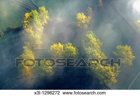 Forest Espinosa de los Monteros Burgos Castile-Leon Spain View Large Photo Image Stock Image - Forest Espinosa de los Monteros Burgos Castile-Leon Spain. Fotosearch