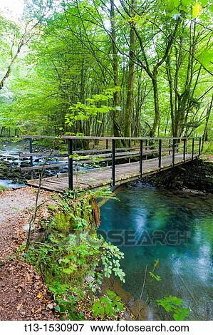 Forest footbridge, river Curak,? Zeleni vir? protected park near Skrad in Croatia View Large Photo Image Stock Photo - Forest footbridge, river Curak,? Zeleni vir? protected park near Skrad in Croatia. Fotosearch