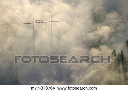 Forest in fog, landscape, electrical power supply. Alingsas. Sweden View Large Photo Image Picture - Forest in fog, landscape, electrical power supply. Alingsas. Sweden. Fotosearch
