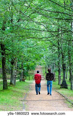 Forest landscape with beechsand visitors at Urkiola Natural Park, Vizcaya, Basque Country, Spain View Large Photo Image Stock Image - Forest landscape with beechsand visitors at Urkiola Natural Park, Vizcaya, Basque Country, Spain. Fotosearch