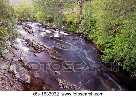 Stock Image - Forest near Torridon, Highland, Scotland. Fotosearch