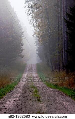 Forest trail in fog - Bavaria/Germany View Large Photo Image Stock Image - Forest trail in fog - Bavaria/Germany. Fotosearch