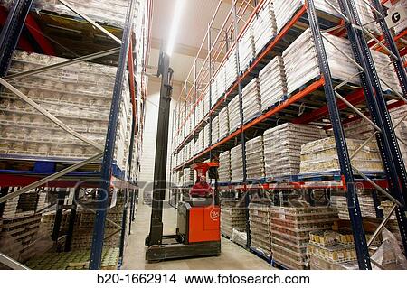 Forklifts, Pallet warehouse, Packaging canned vegetables, Canning Industry, Agri-food, Logistics Center, Grupo Riberebro, Alfaro, La Rioja, Spain View Large Photo Image Picture - Forklifts, Pallet warehouse, Packaging canned vegetables, Canning Industry, Agri-food, Logistics Center, Grupo Riberebro, Alfaro, La Rioja, Spain. Fotosearch