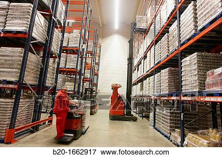 Stock Photo - Forklifts, Pallet warehouse, Packaging canned vegetables, Canning Industry, Agri-food, Logistics Center, Grupo Riberebro, Alfaro, La Rioja, Spain. Fotosearch