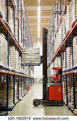 Forklifts, Pallet warehouse, Packaging canned vegetables, Canning Industry, Agri-food, Logistics Center, Grupo Riberebro, Alfaro, La Rioja, Spain View Large Photo Image Stock Photo - Forklifts, Pallet warehouse, Packaging canned vegetables, Canning Industry, Agri-food, Logistics Center, Grupo Riberebro, Alfaro, La Rioja, Spain. Fotosearch
