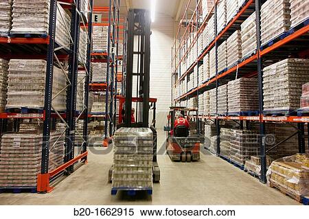 Forklifts, Pallet warehouse, Packaging canned vegetables, Canning Industry, Agri-food, Logistics Center, Grupo Riberebro, Alfaro, La Rioja, Spain View Large Photo Image Stock Photography - Forklifts, Pallet warehouse, Packaging canned vegetables, Canning Industry, Agri-food, Logistics Center, Grupo Riberebro, Alfaro, La Rioja, Spain. Fotosearch