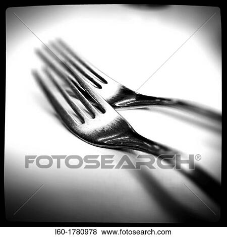 Forks View Large Photo Image Stock Photo - Forks. Fotosearch