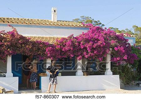 Formentera, Balearic Islands, Spain View Large Photo Image Stock Photo - Formentera, Balearic Islands, Spain. Fotosearch