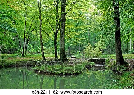 fountain of Bougers in Bertranges national forest, near La Charite-sur-Loire, Nievre department, Burgundy region, France, Europe. View Large Photo Image Stock Image - fountain of Bougers in Bertranges national forest, near La Charite-sur-Loire, Nievre department, Burgundy region, France, Europe.. Fotosearch