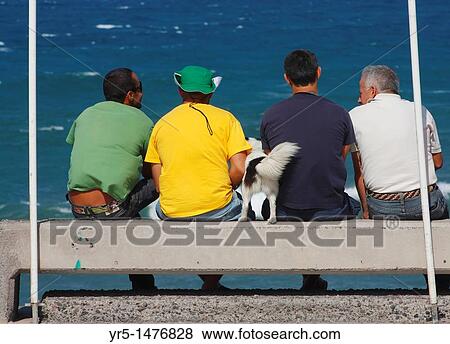 Four men and a dog sitting on wall at coast in Spain View Large Photo Image Stock Photo - Four men and a dog sitting on wall at coast in Spain. Fotosearch