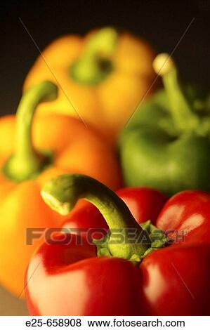 Four peppers arranged in a studio-shot still life composition View Large Photo Image Stock Photo - Four peppers arranged in a studio-shot still life composition. Fotosearch