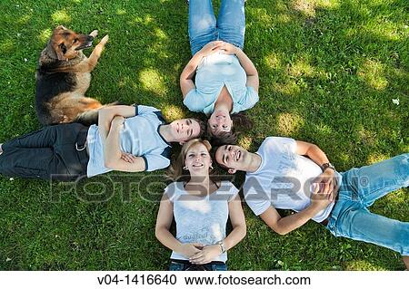 Four young people lying in the grass and smiling up at the camera, Germany, Europe View Large Photo Image Stock Image - Four young people lying in the grass and smiling up at the camera, Germany, Europe. Fotosearch